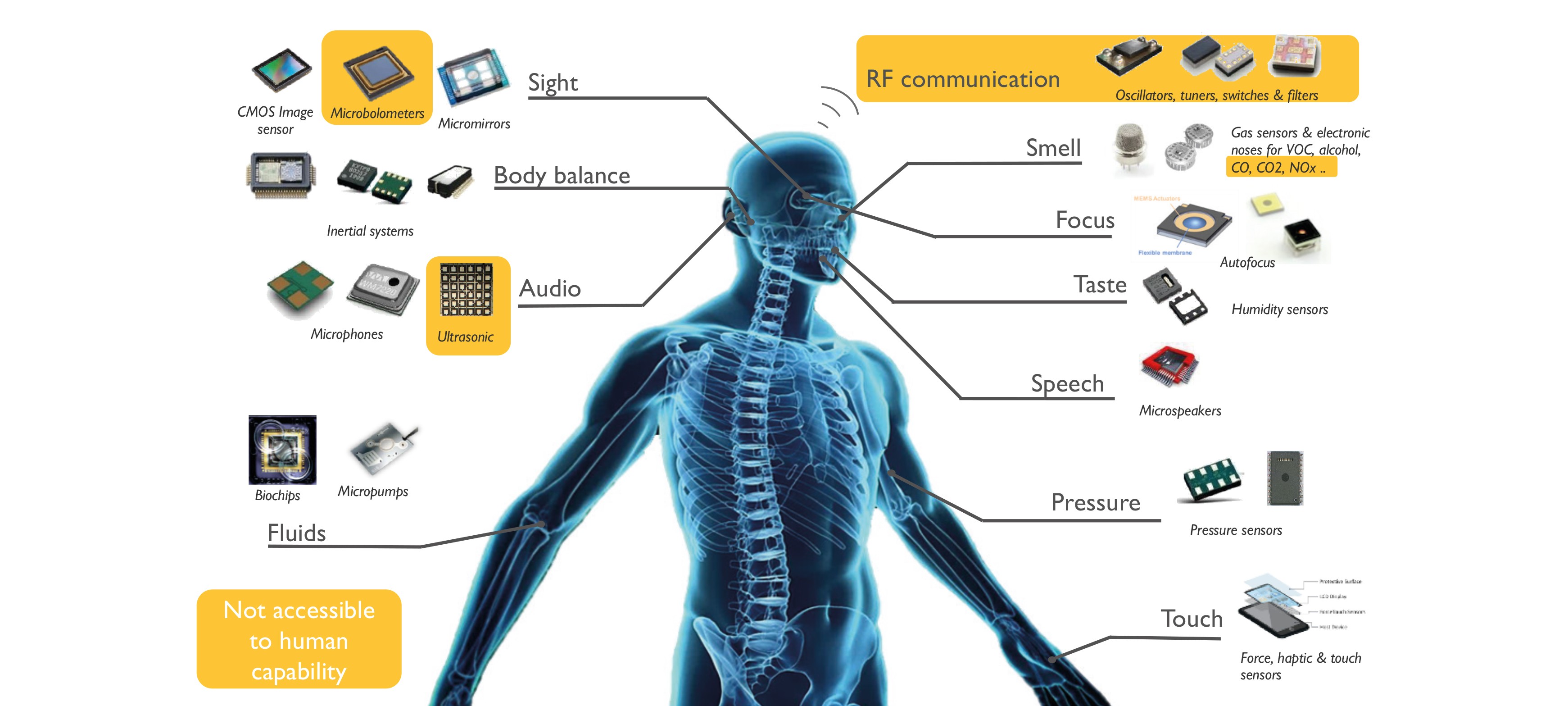 Functioning of the Sensor